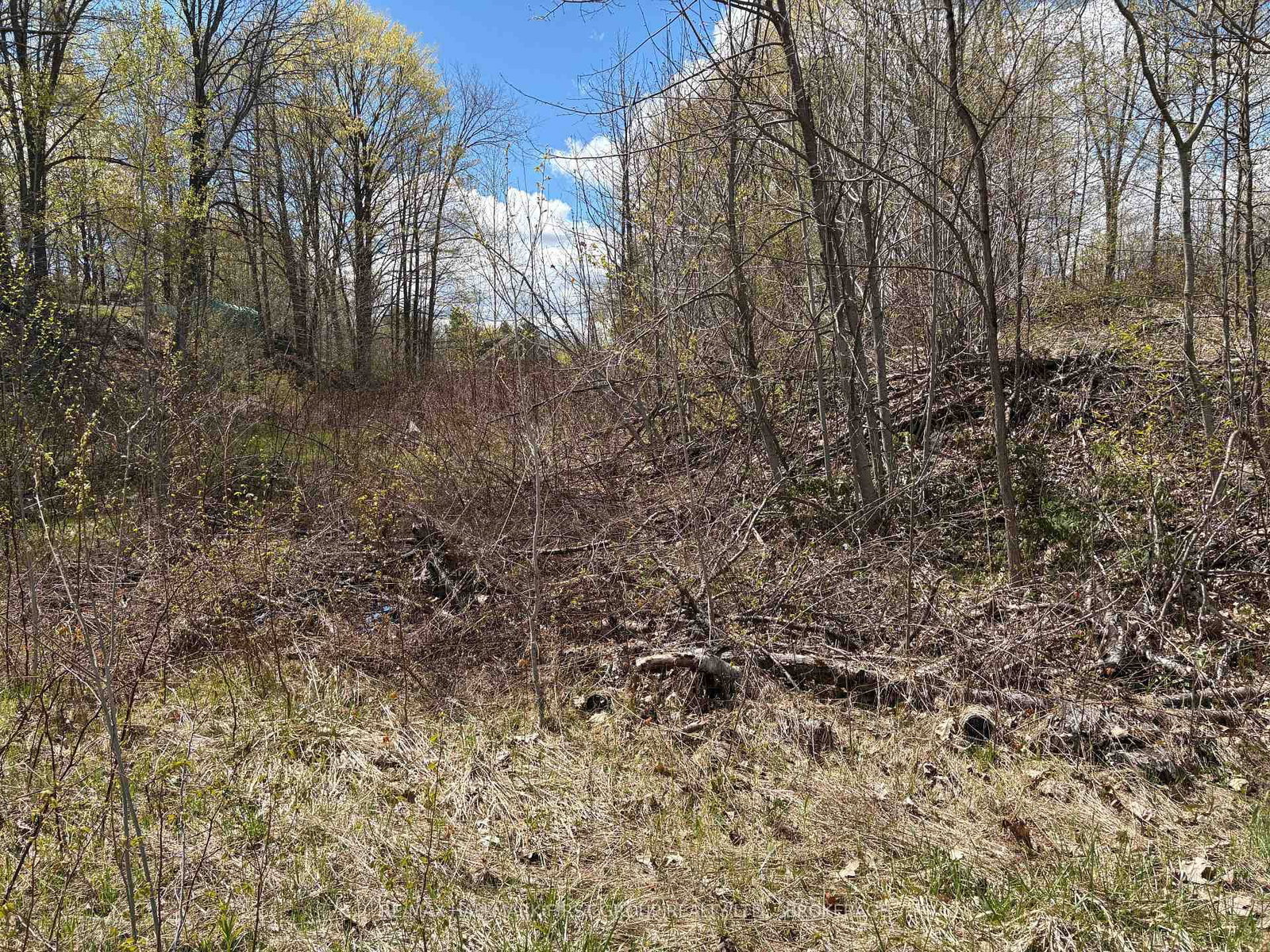 Lot 0 County Road 38 • Sharbot Lake, ON photo 11