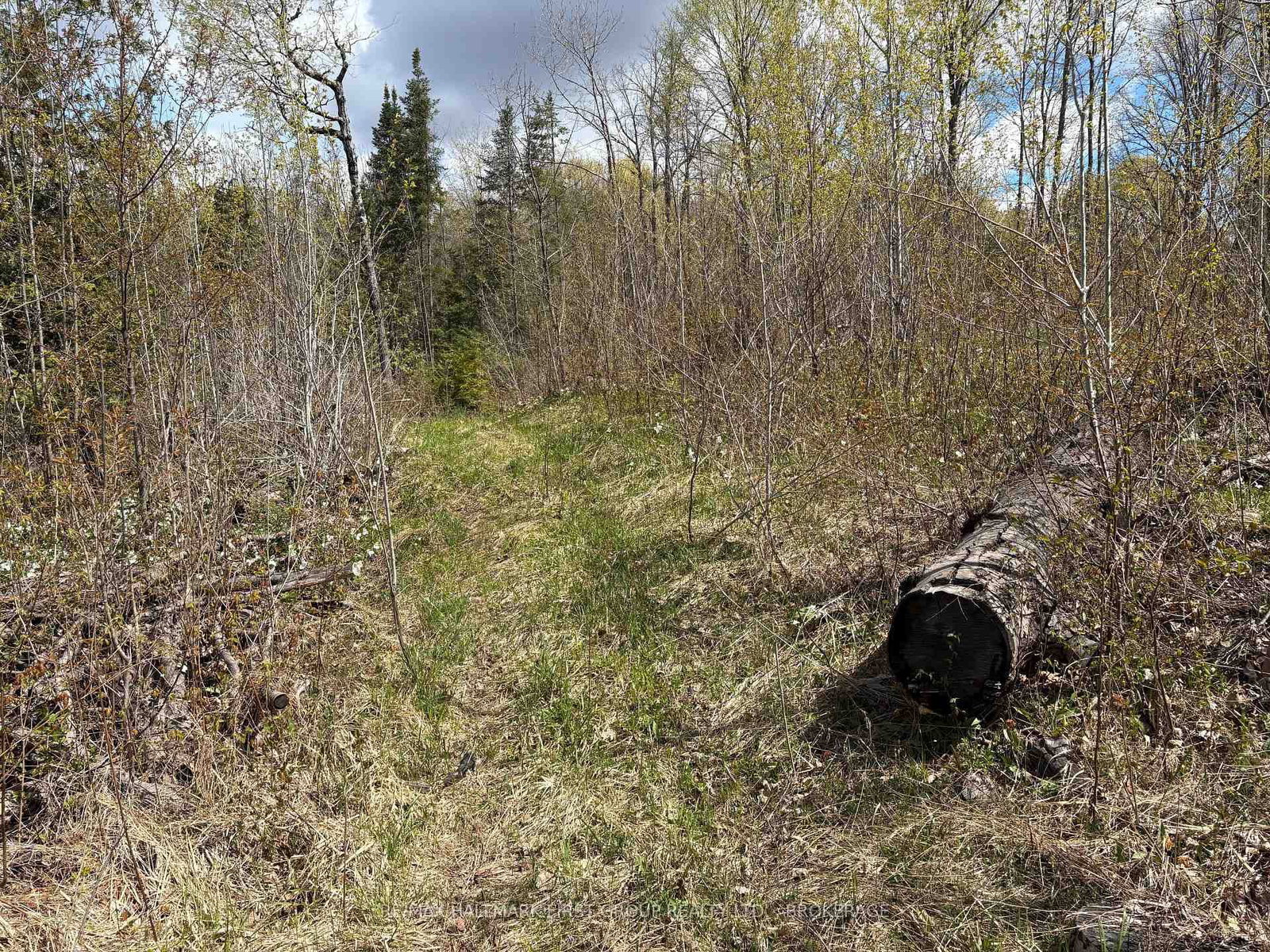 Lot 0 County Road 38 • Sharbot Lake, ON photo 12