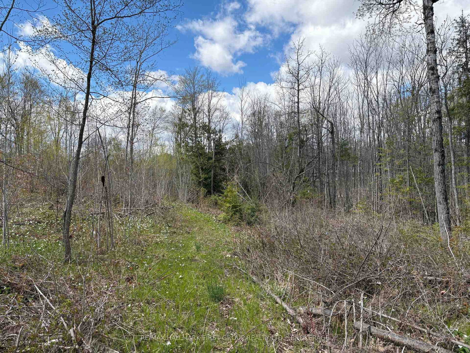 Lot 0 County Road 38 • Sharbot Lake, ON photo 17