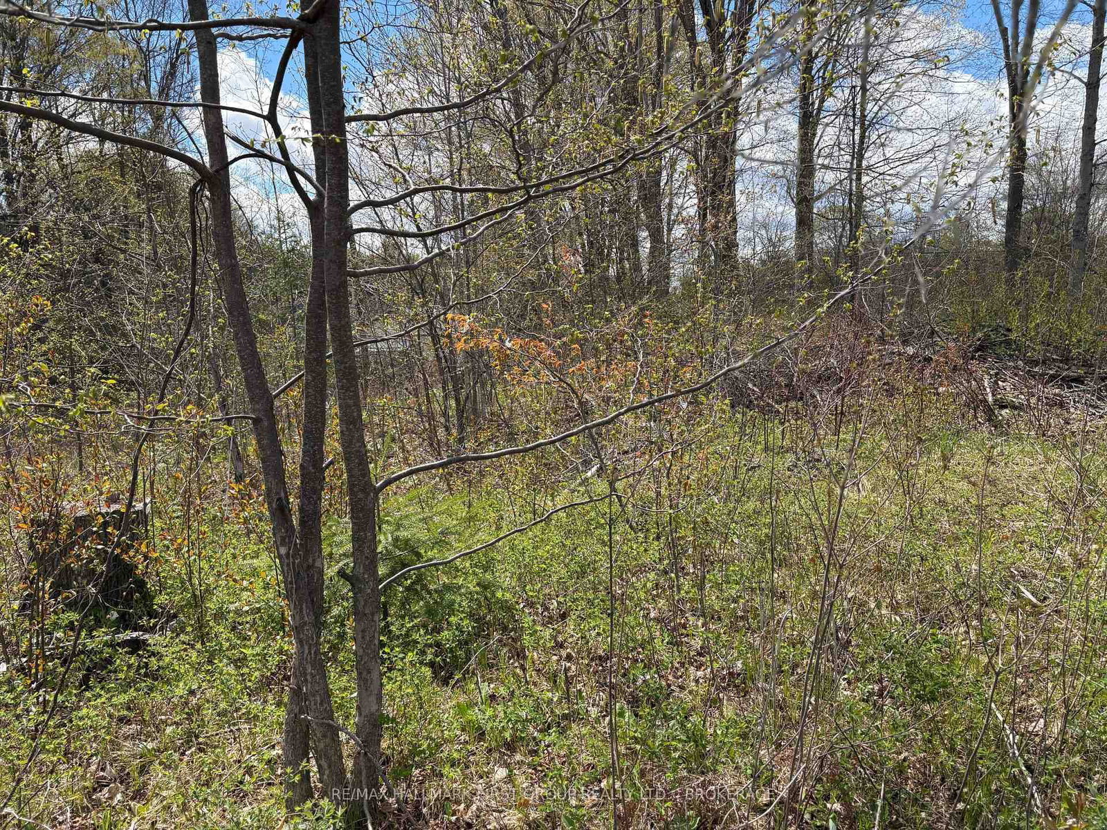 Lot 0 County Road 38 • Sharbot Lake, ON photo 18