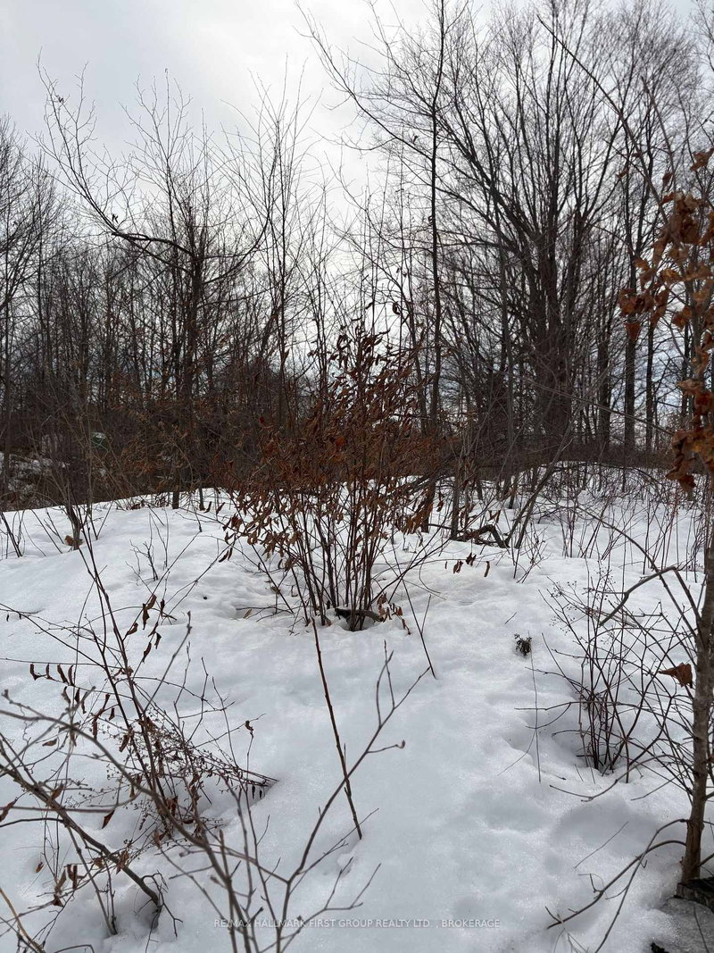 Lot 0 County Road 38, Sharbot Lake, K0H 2P0 | Image 2