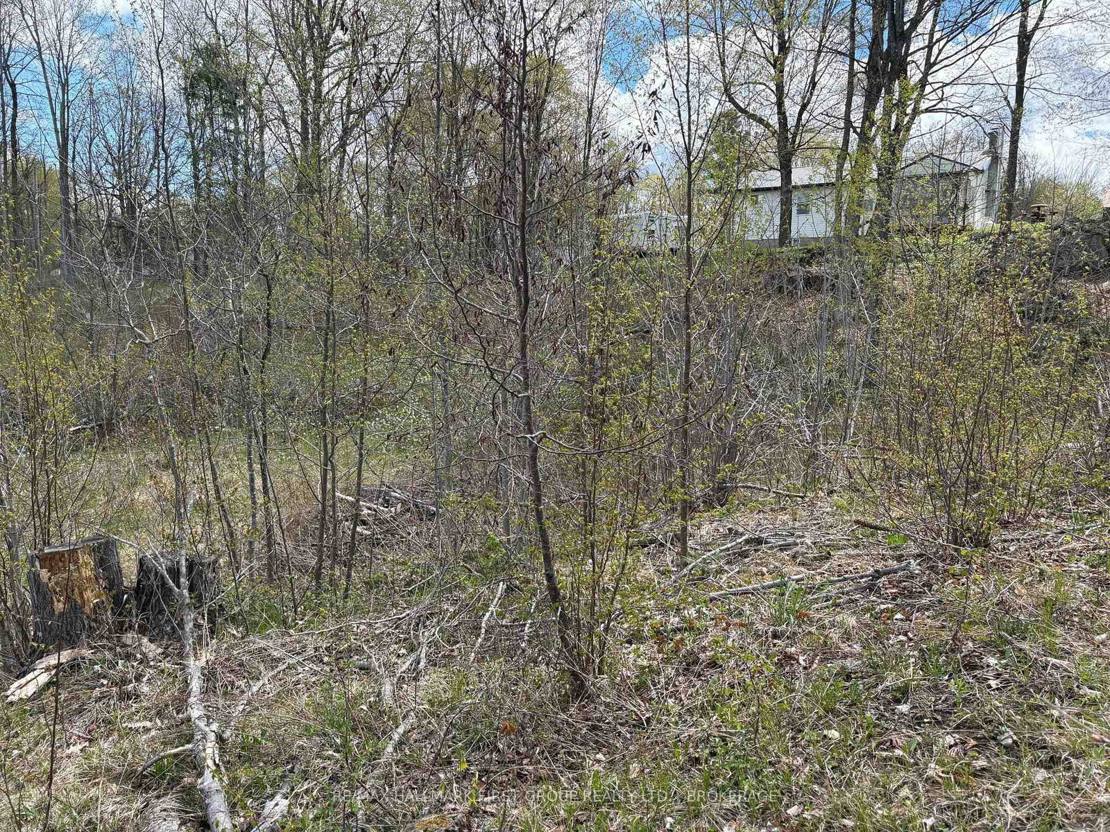 Lot 0 County Road 38 • Sharbot Lake, ON photo 21