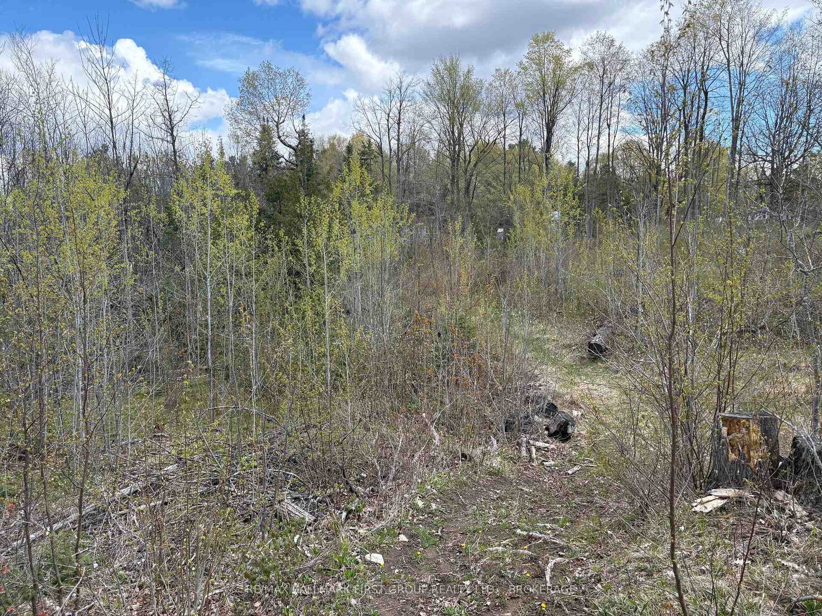 Lot 0 County Road 38 • Sharbot Lake, ON photo 22