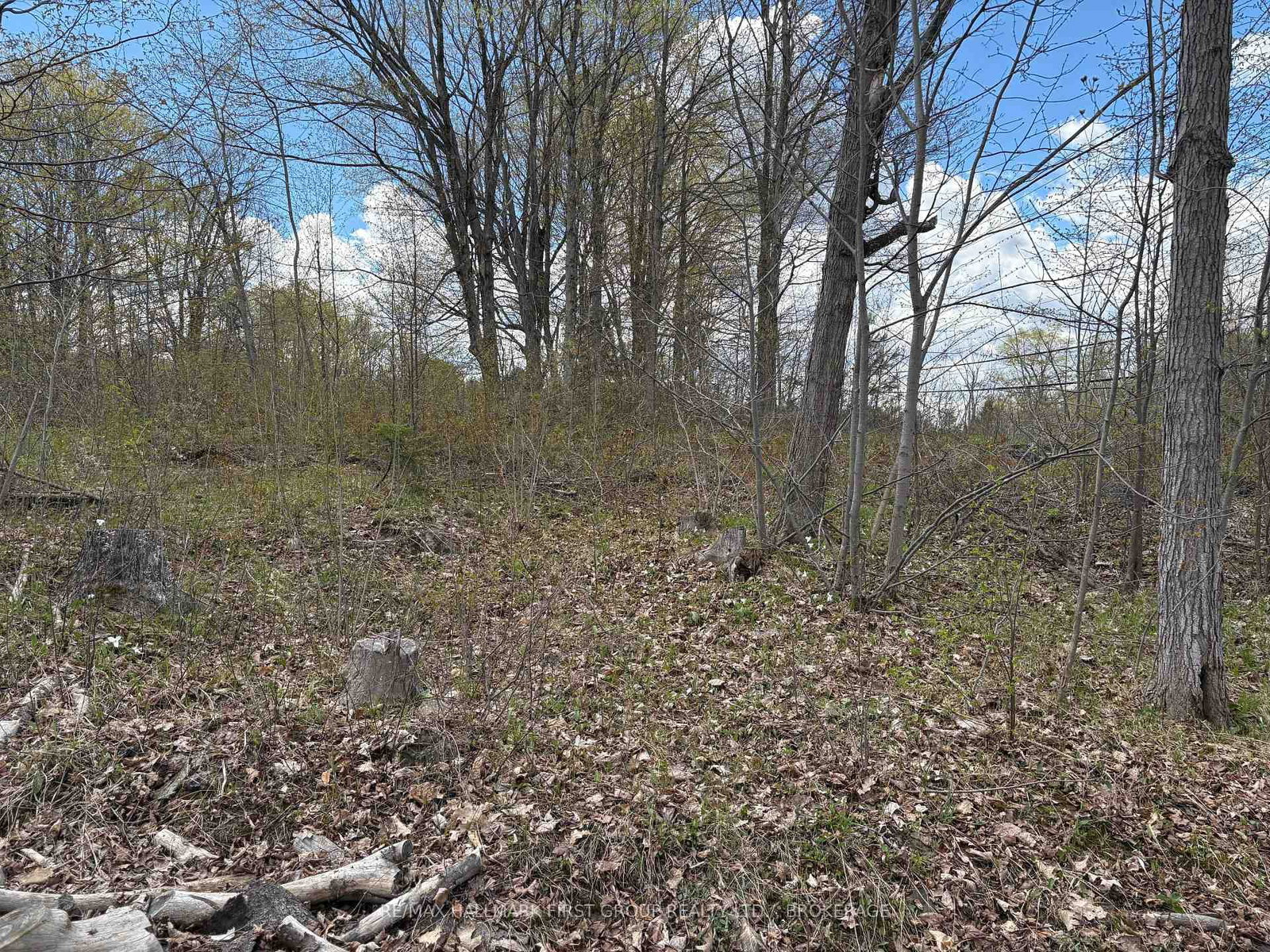 Lot 0 County Road 38 • Sharbot Lake, ON photo 25