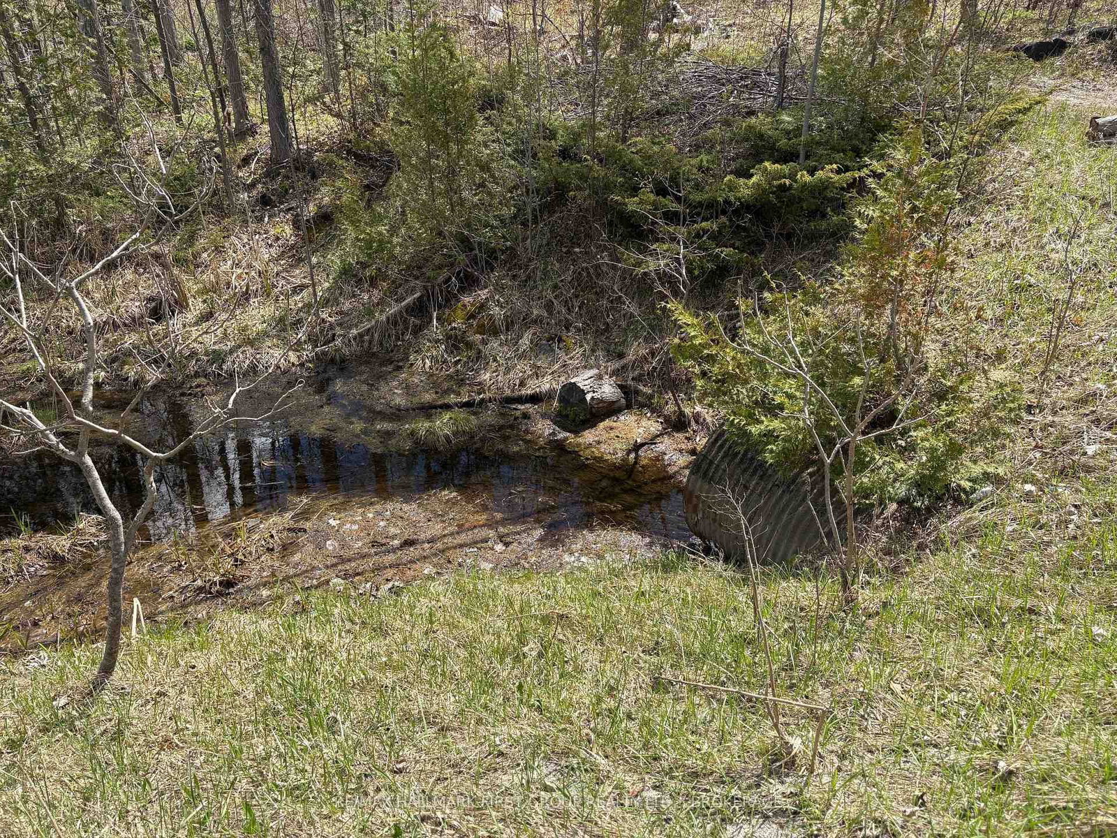 Lot 0 County Road 38 • Sharbot Lake, ON photo 27