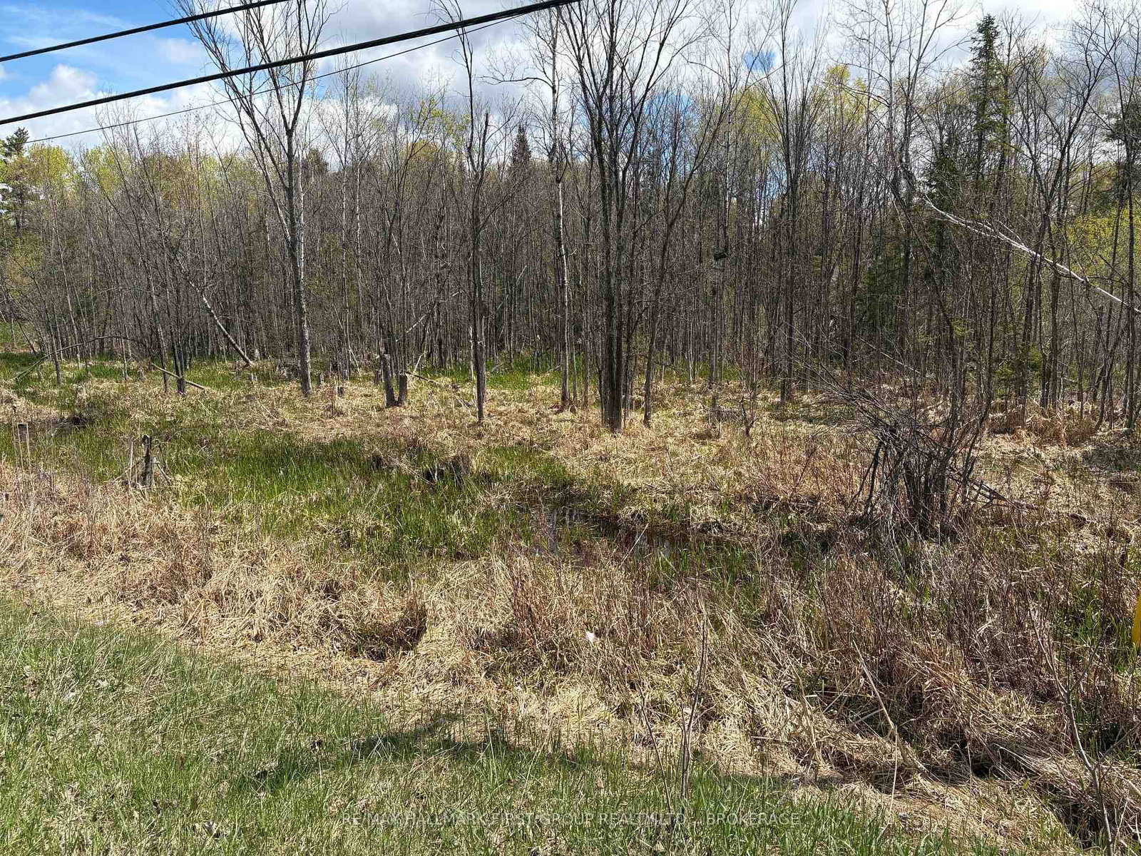 Lot 0 County Road 38 • Sharbot Lake, ON photo 29