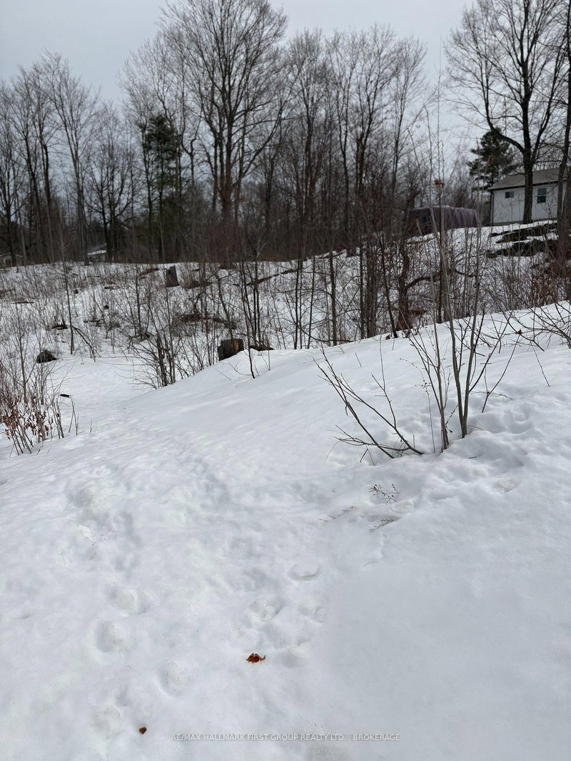 Lot 0 County Road 38, Sharbot Lake, K0H 2P0 | Image 3