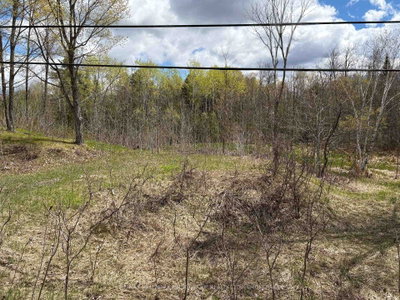 Lot 0 County Road 38 • Sharbot Lake, ON photo 3