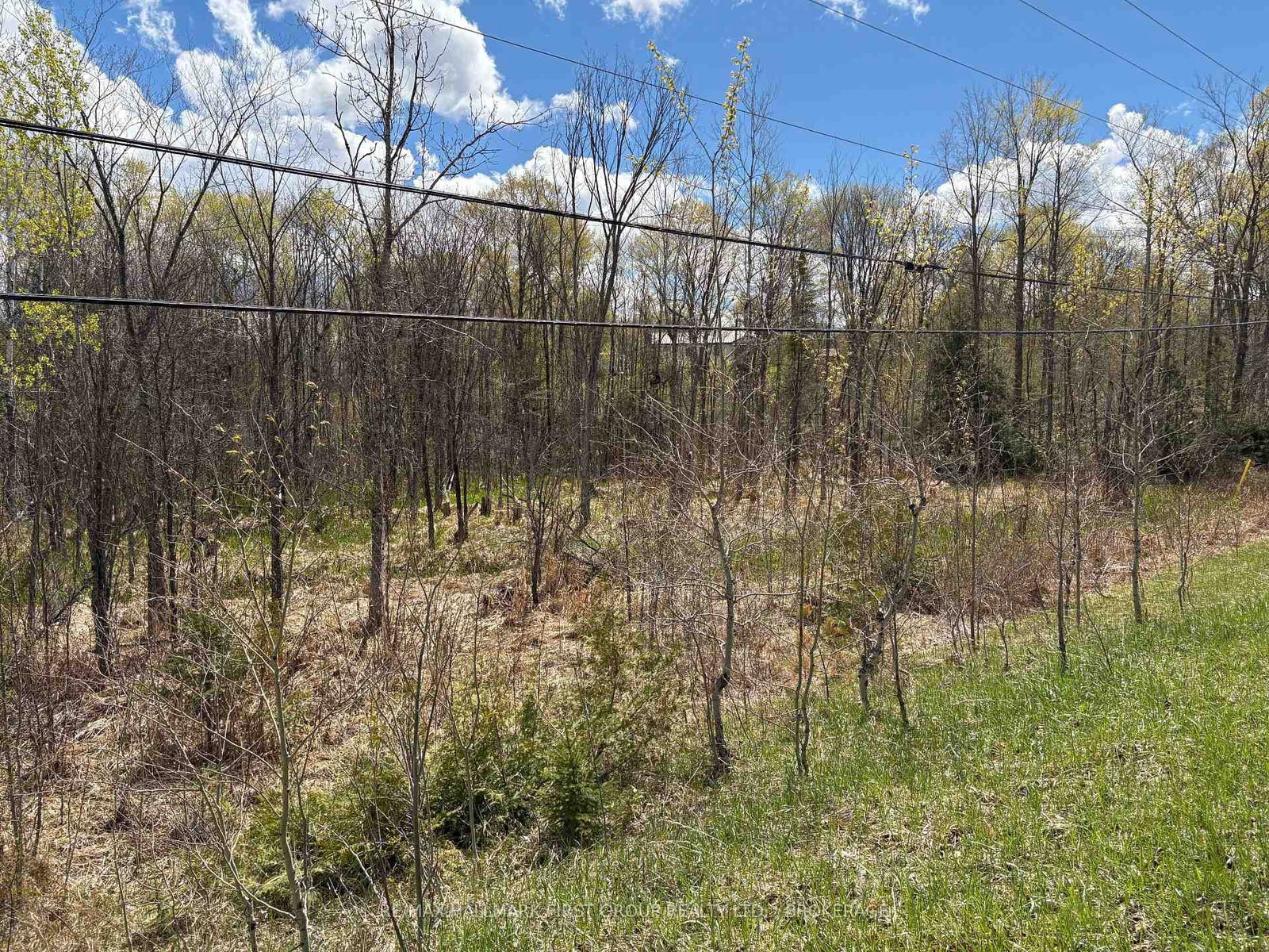 Lot 0 County Road 38 • Sharbot Lake, ON photo 30