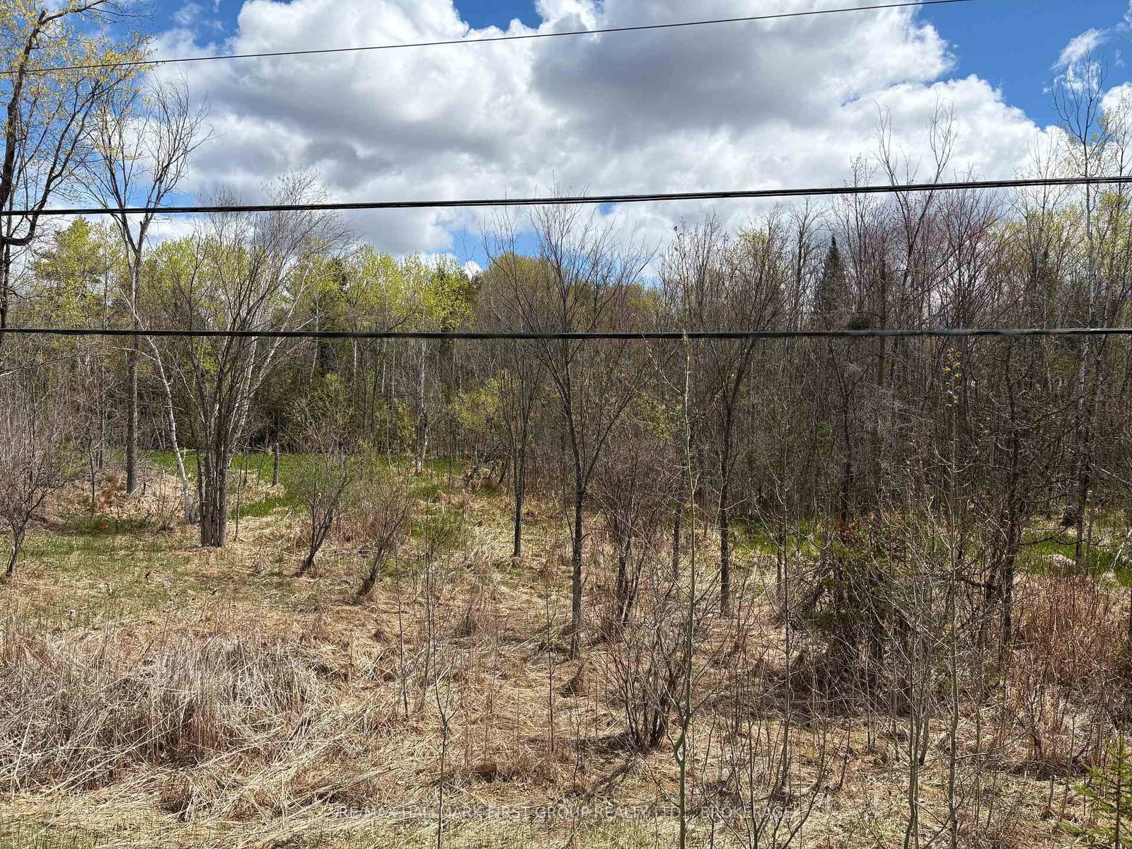 Lot 0 County Road 38 • Sharbot Lake, ON photo 31