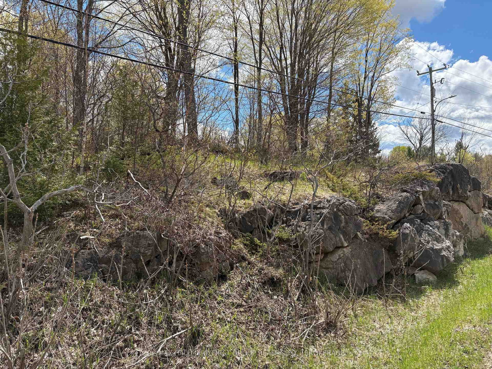 Lot 0 County Road 38 • Sharbot Lake, ON photo 35