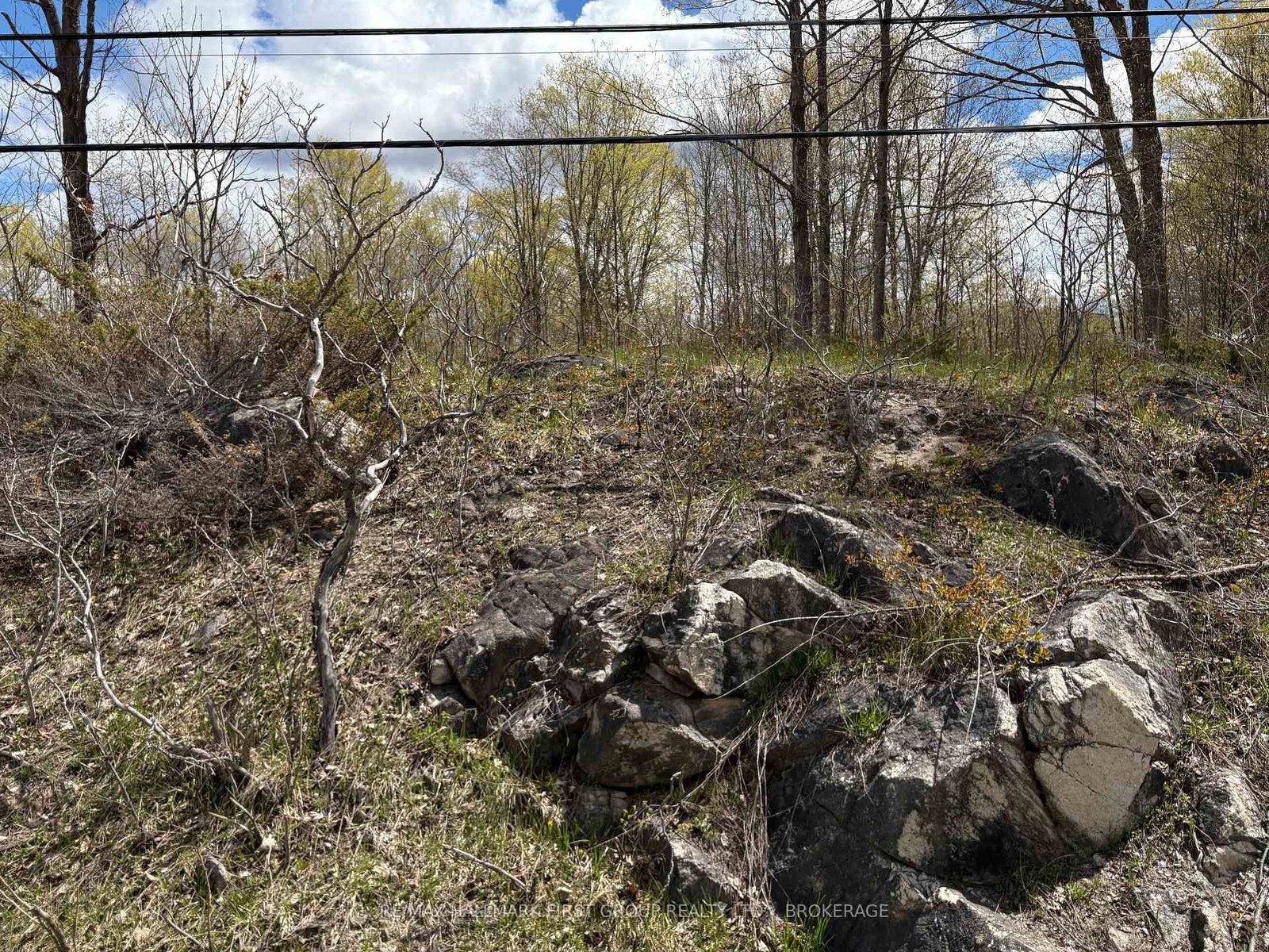 Lot 0 County Road 38 • Sharbot Lake, ON photo 36
