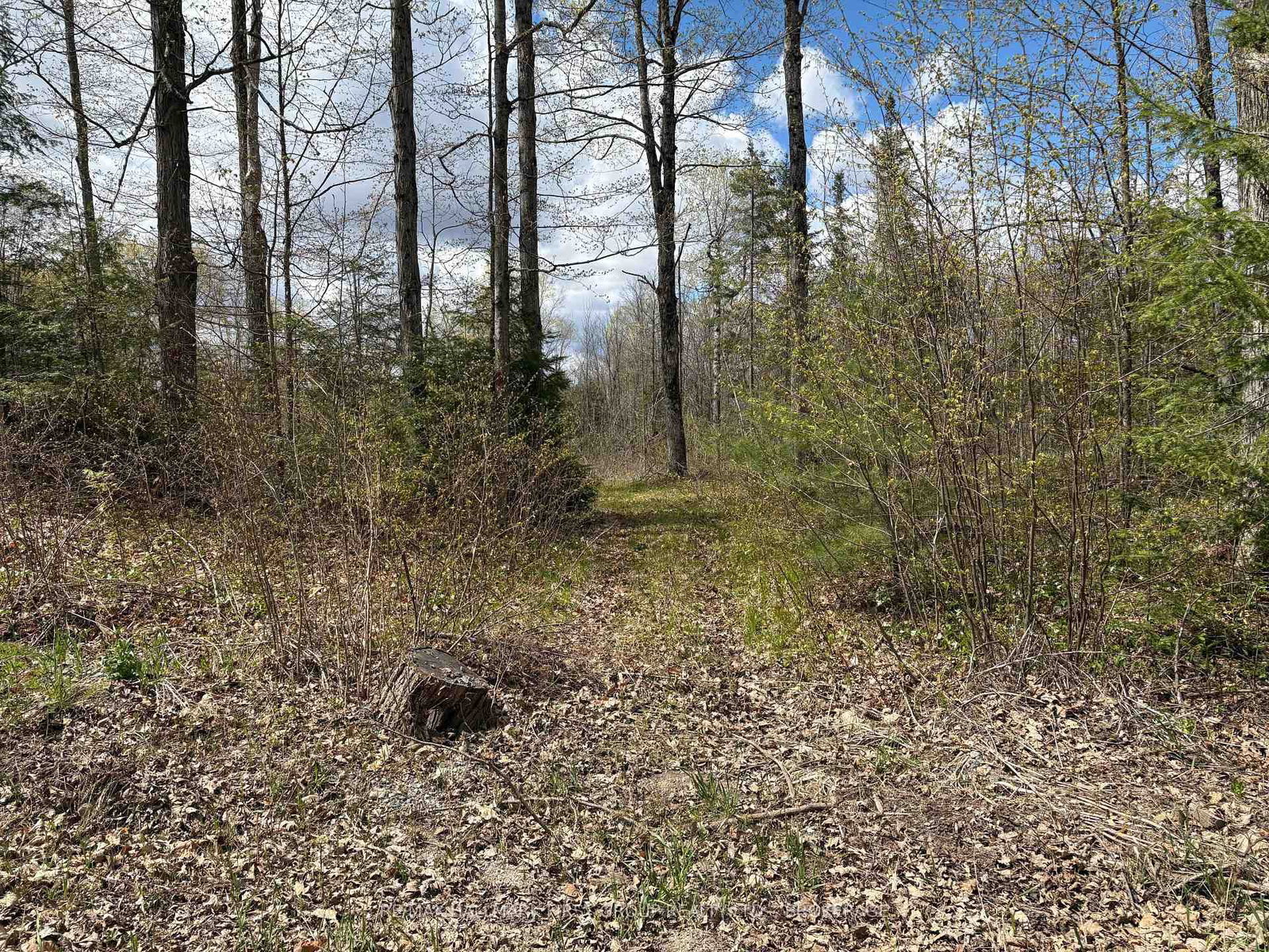 Lot 0 County Road 38 • Sharbot Lake, ON photo 38