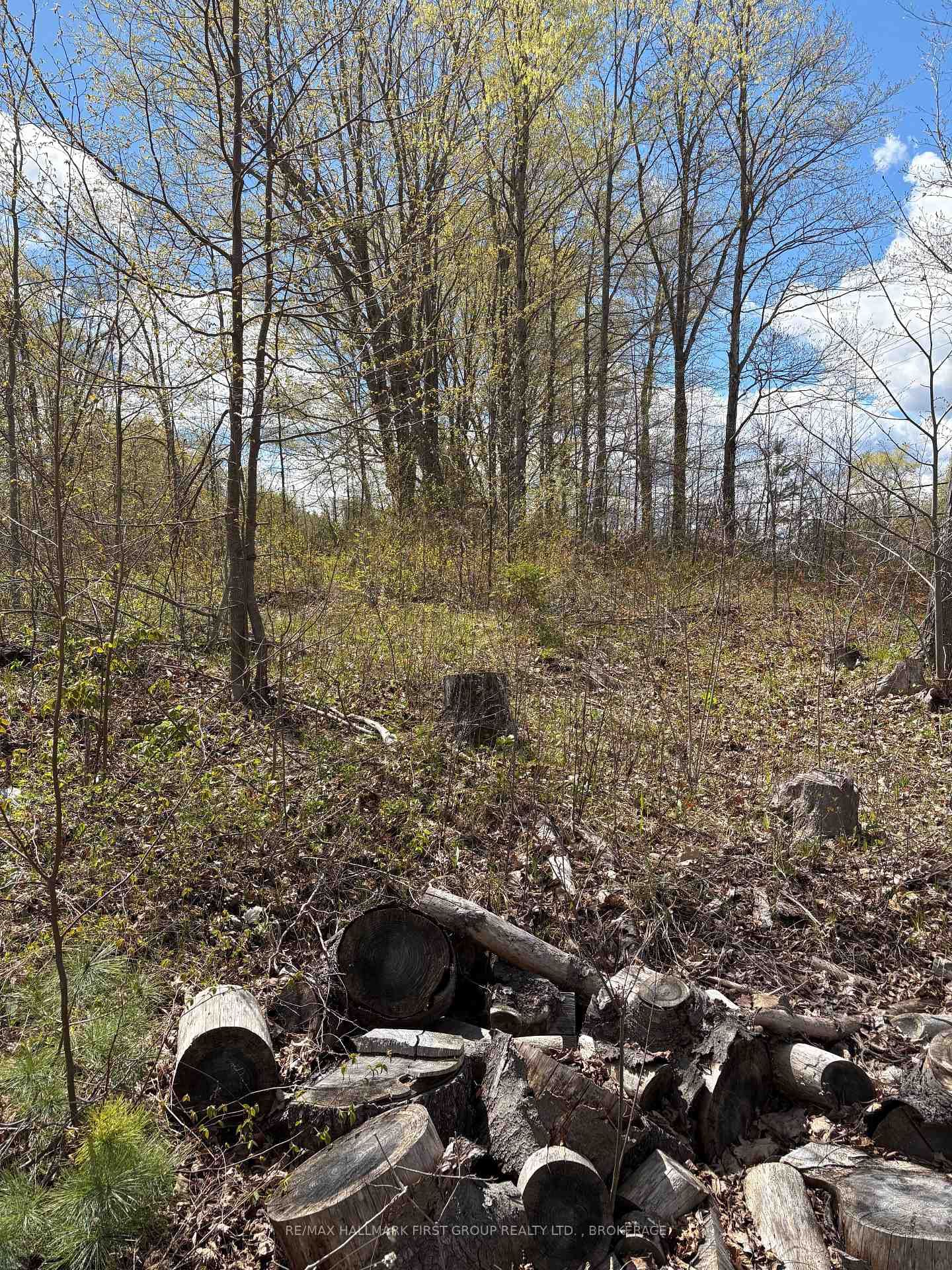 Lot 0 County Road 38 • Sharbot Lake, ON photo 39
