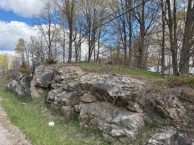 Lot 0 County Road 38 • Sharbot Lake, ON photo 4