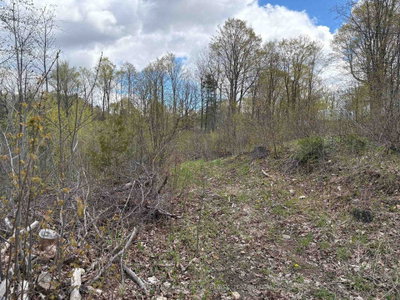 Lot 0 County Road 38 • Sharbot Lake, ON photo 7