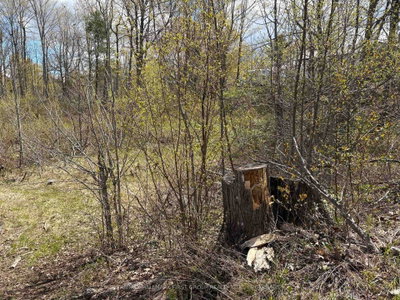 Lot 0 County Road 38 • Sharbot Lake, ON photo 8