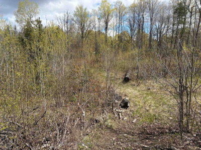 Lot 0 County Road 38 • Sharbot Lake, ON photo 9