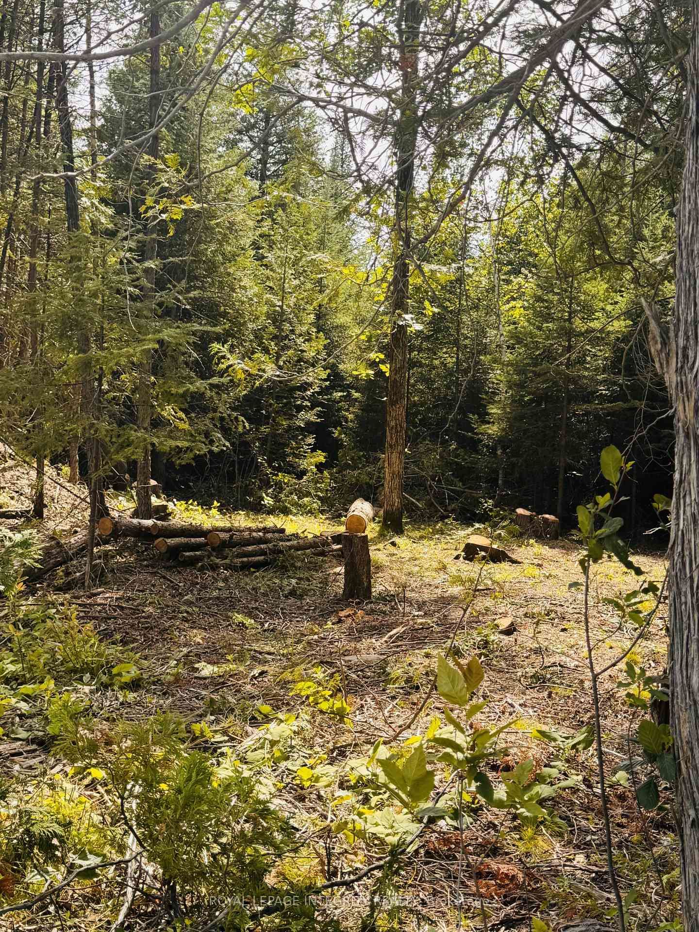 7110 Gallagher Road • North Gower, ON photo 11