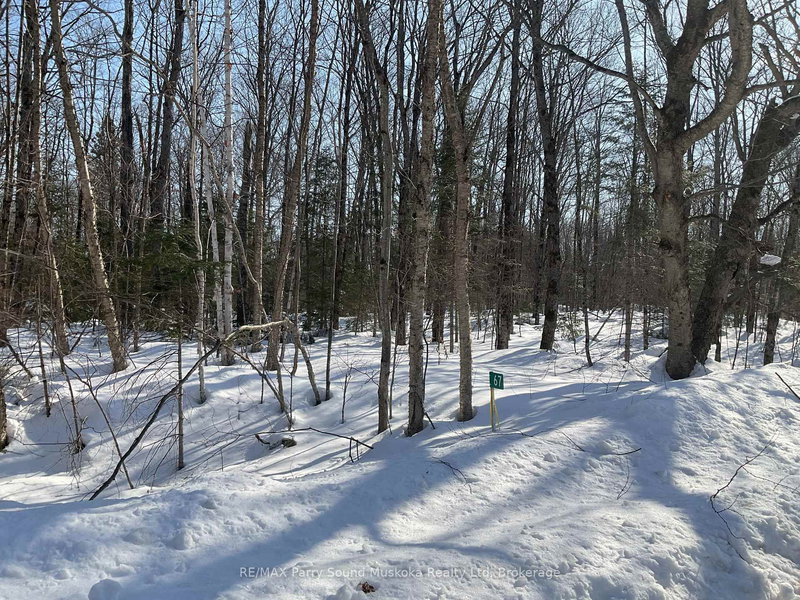 67 Pine Grove Rd, Parry Sound Remote Area, P0H 1S0 | Image 2
