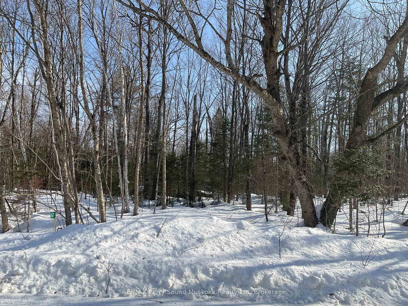 67 Pine Grove Rd, Parry Sound Remote Area, P0H 1S0 | Image 3