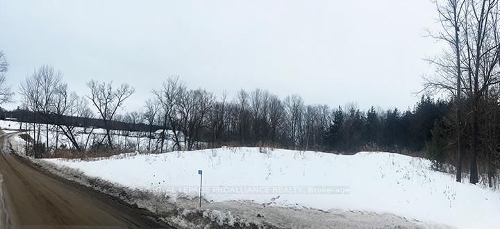 430 Beaver Rd, Trent Hills, K0K 1L0 | Image 2