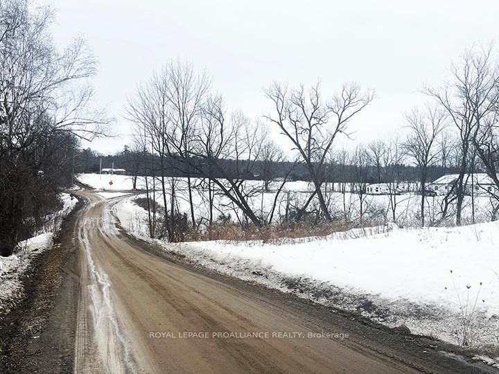 430 Beaver Rd, Trent Hills, K0K 1L0 | Image 3