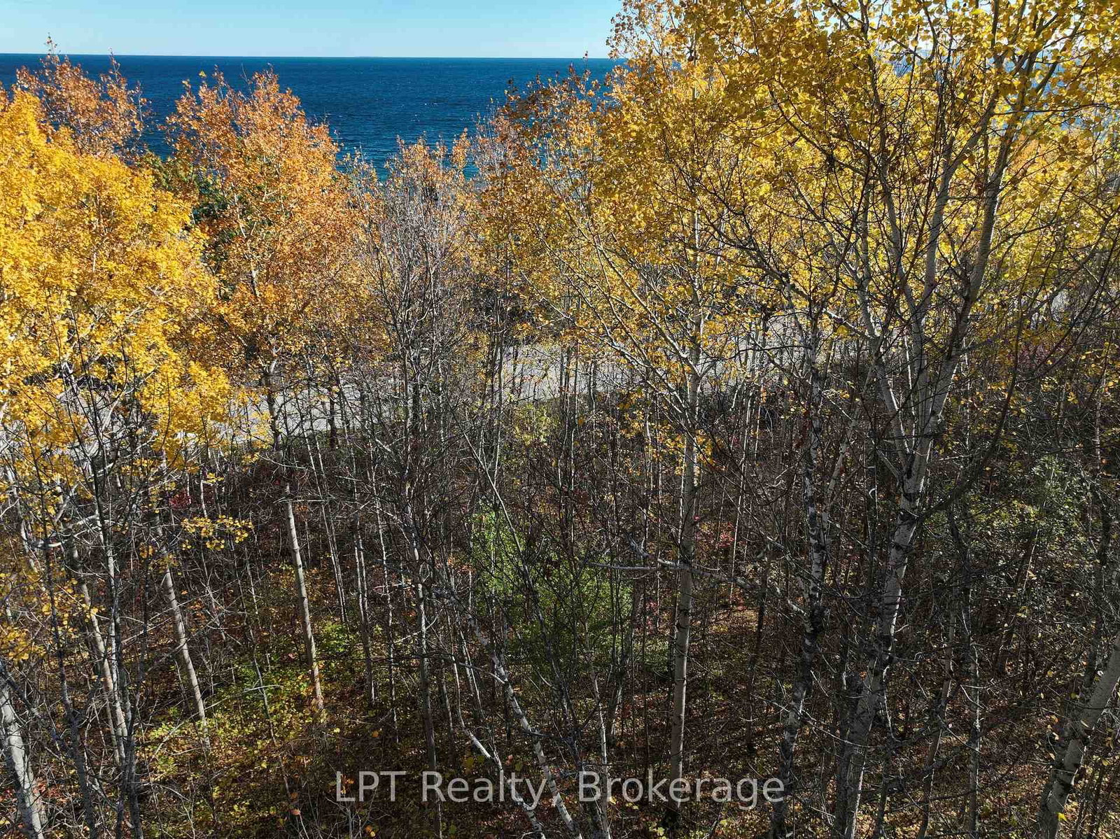 LT 15 Plan 834 Grey Road 1 • Georgian Bluffs, ON photo 17