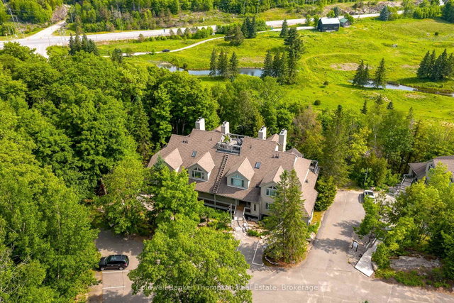 3931 Grandview Forest Hill Drive