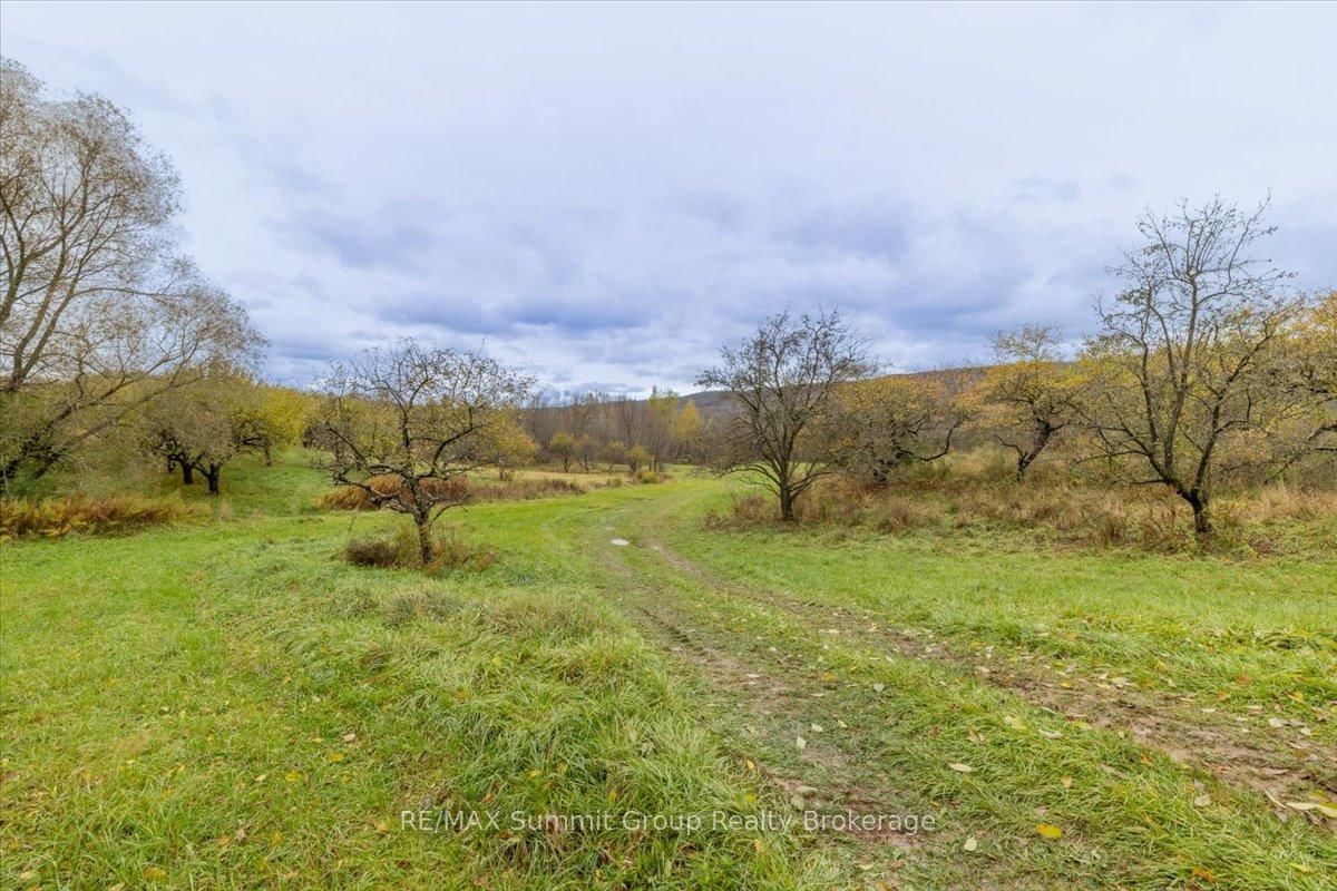 235274 Grey Road 13 • Grey Highlands, ON photo 11