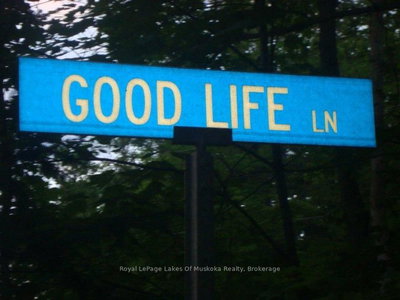 1012 Goodlife Lane — photo 3