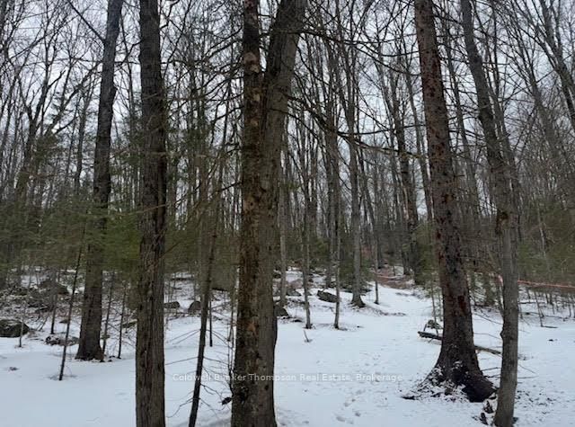 440 Riding Ranch Rd, Machar, P0A 1X0 | Image 2