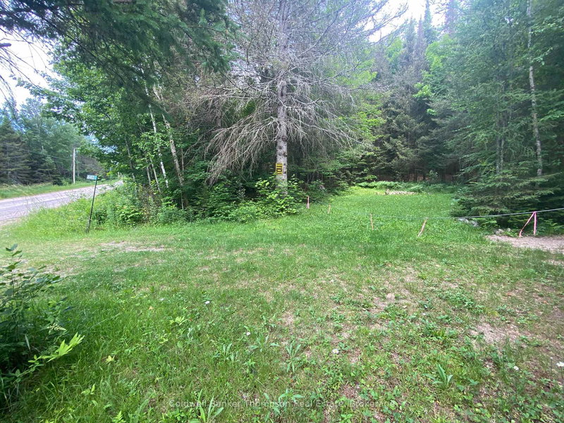 440 Riding Ranch Rd, Machar, P0A 1X0 | Image 3