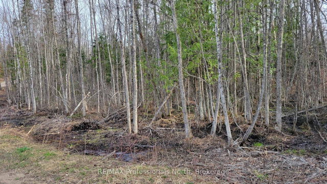 PCL 20438 & 298 Upper Walker Lake Road