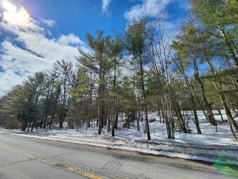 00 Manitoba St, Bracebridge, P1L 1W9 | Image 2