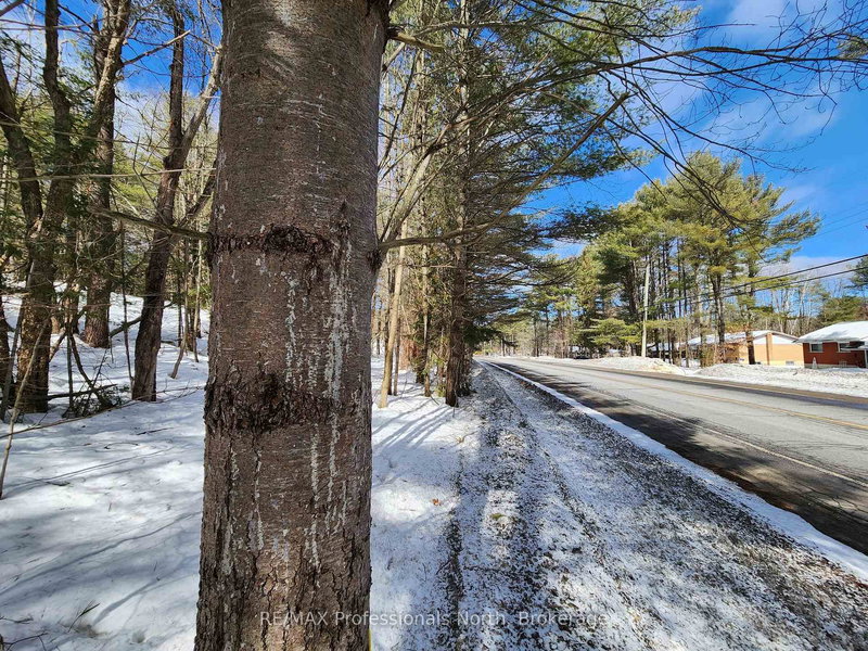 00 Manitoba St, Bracebridge, P1L 1W9 | Image 3