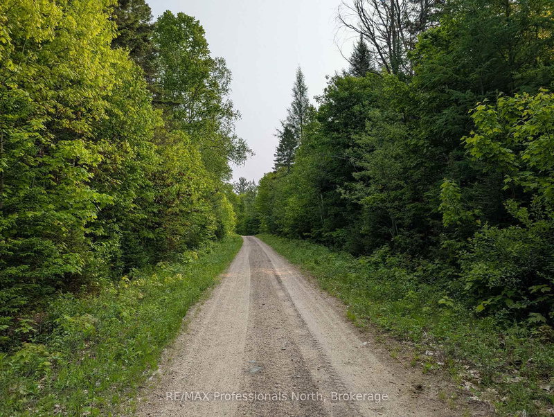 0 WOODS Rd, Parry Sound Remote Area, P0A 1X0 | Image 3