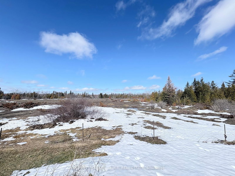 268 McGuire Beach Rd, Kawartha Lakes, K0M 2B0 | Image 3