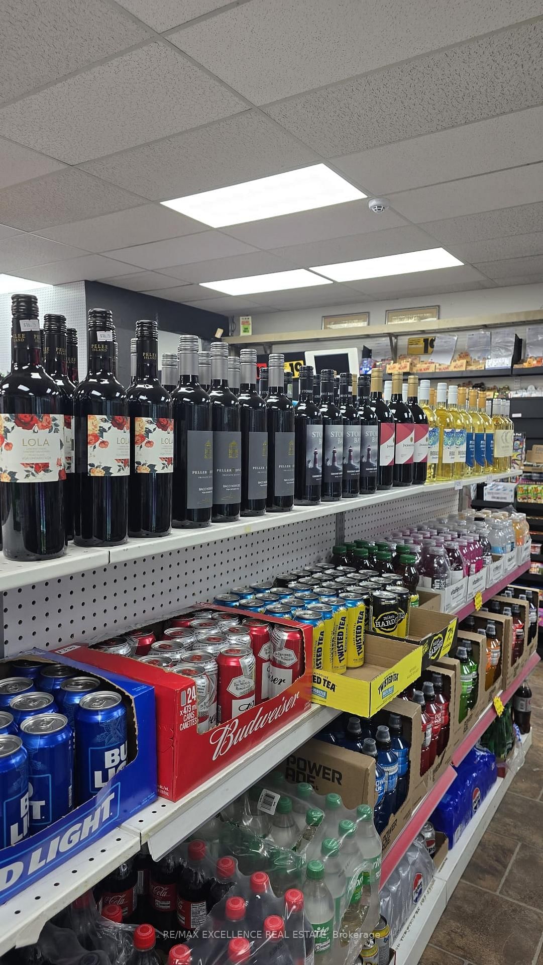 543 Speedvale Avenue E, Unit B - Photo 6