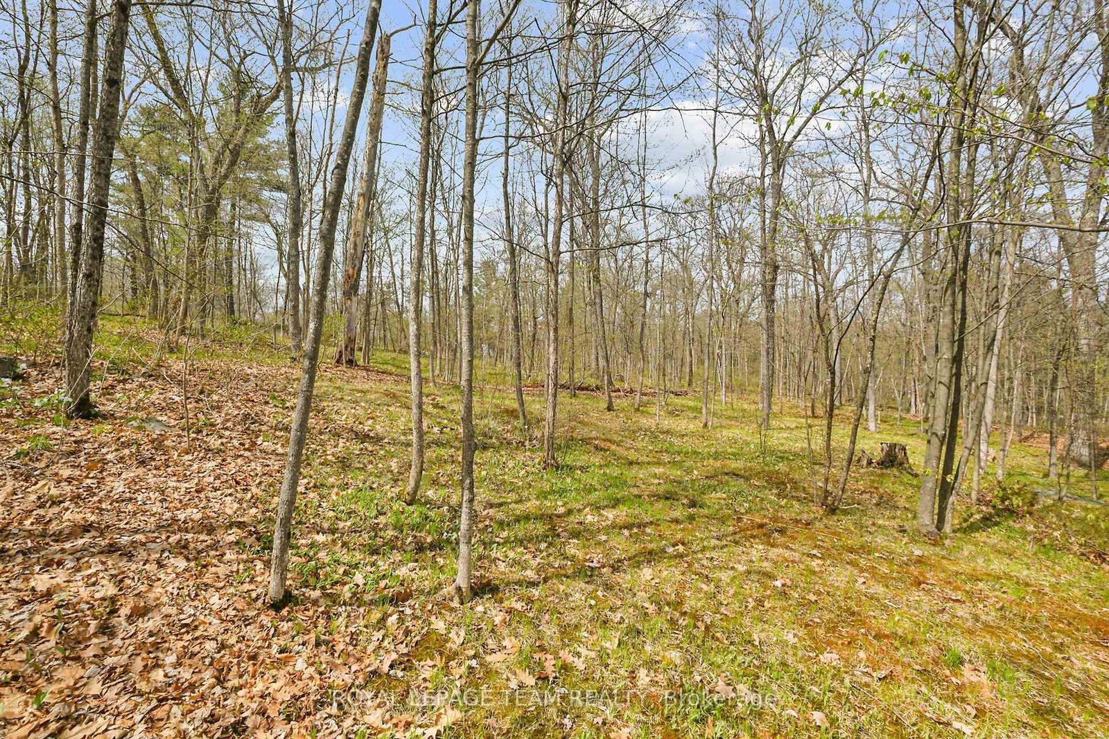 371 Kennedy Road • Calabogie, ON photo 37