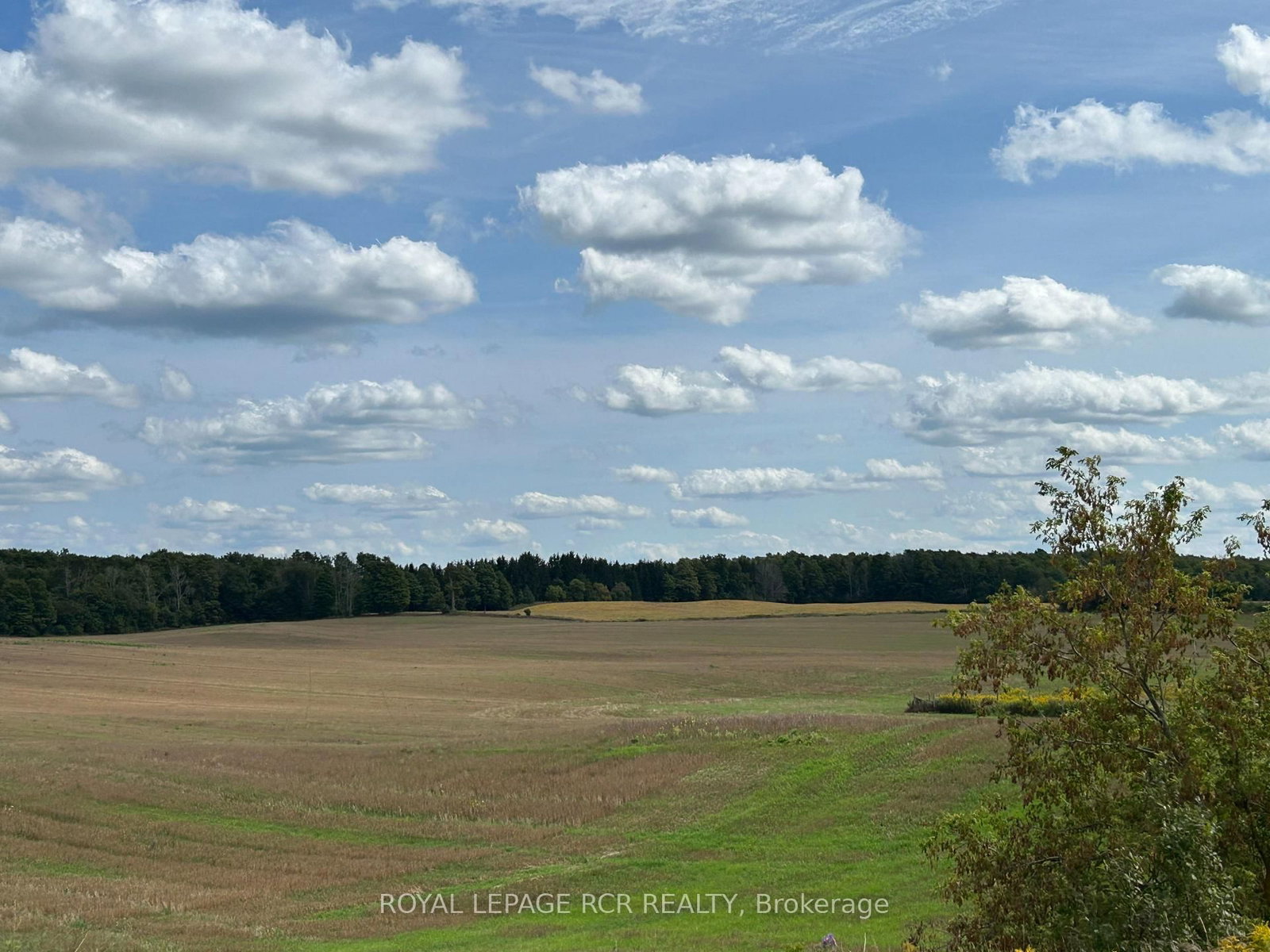 PtLt 29 2nd Line • Amaranth, ON photo 12
