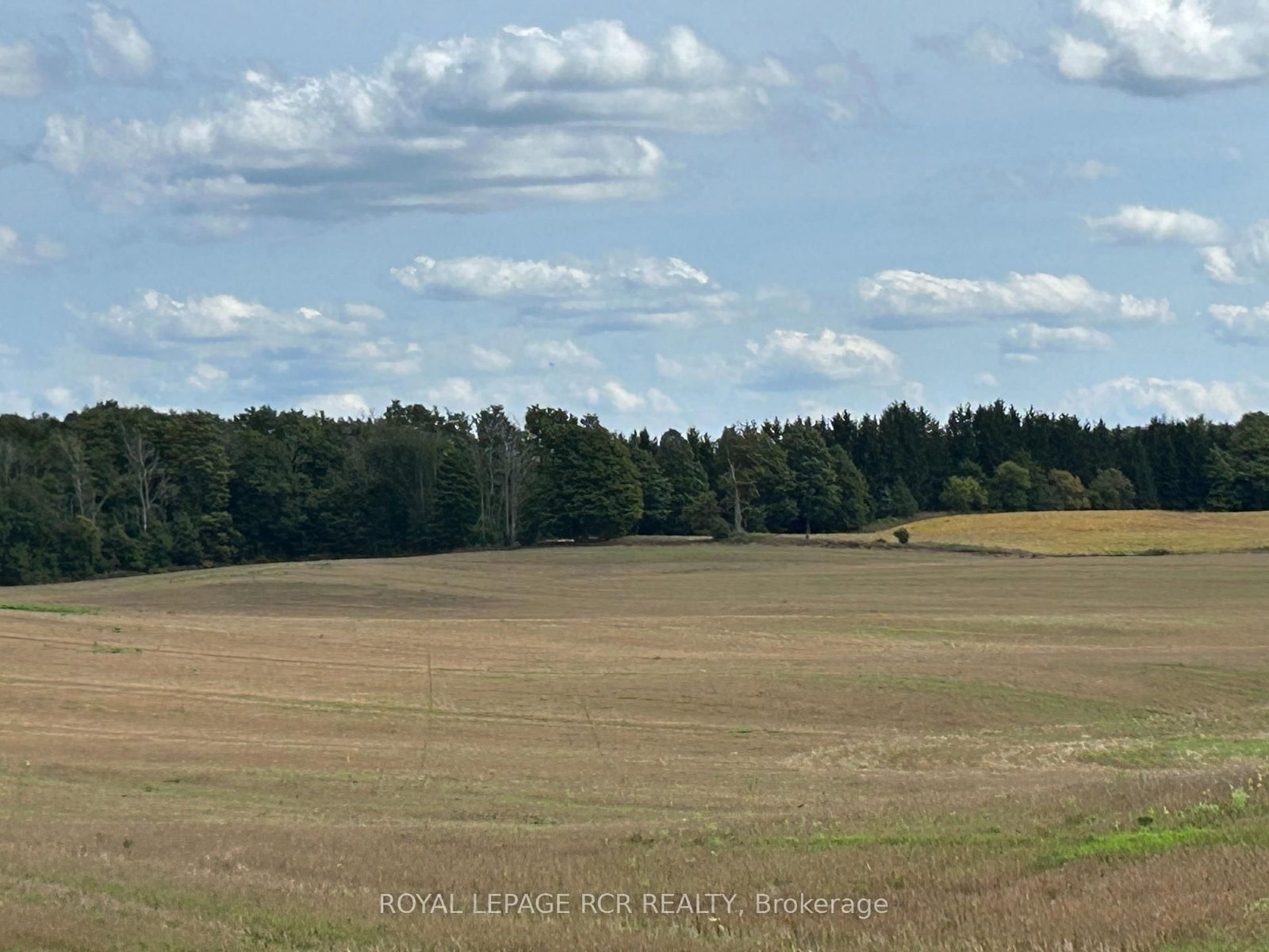 PtLt 29 2nd Line • Amaranth, ON photo 20