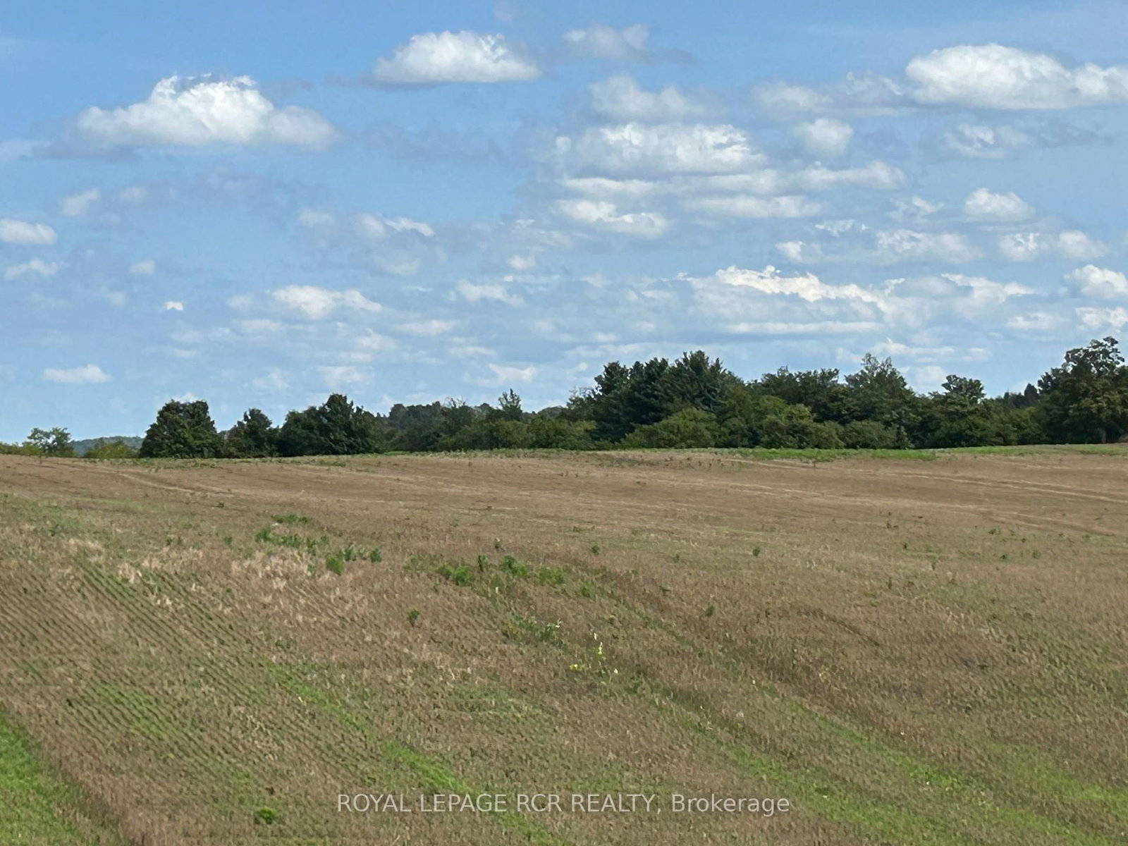 PtLt 29 2nd Line • Amaranth, ON photo 21