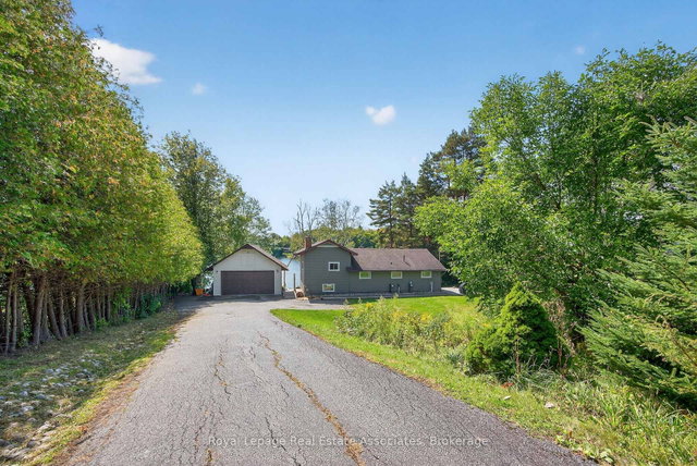 389 Falcon Road