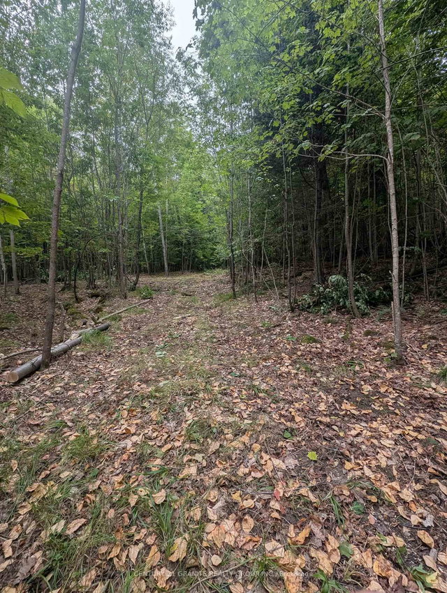 00 Kamaniskeg Lake Road