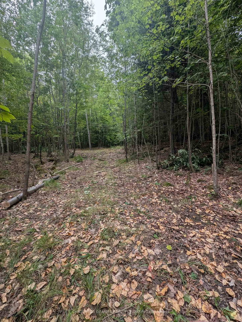 00 Kamaniskeg Lake Road