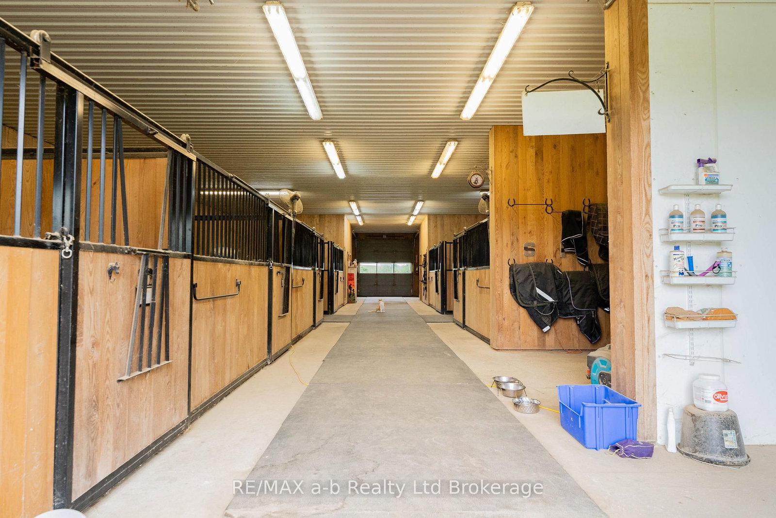 Detached House for sale at 55226 BEST Line, Bayham, Ontario, N5H 2R3 - Rural Bayham - MLS: X12891510