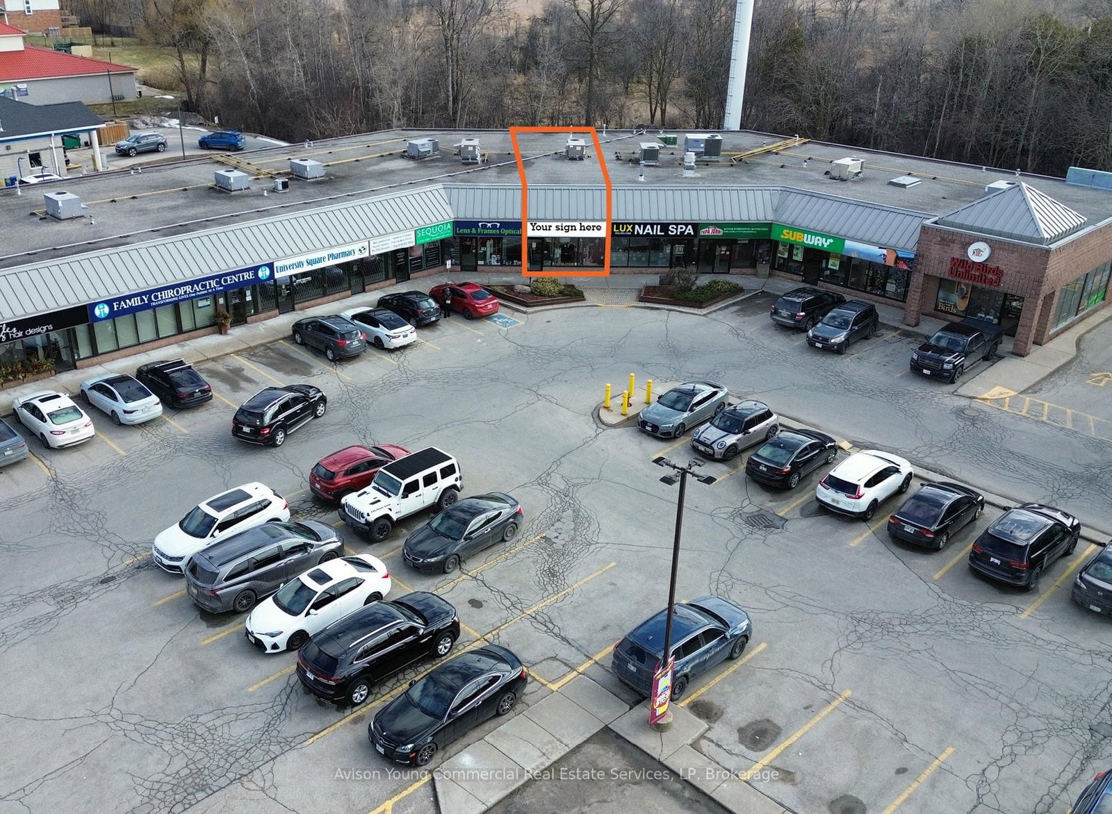 987 Gordon Street S, Unit 5A - Photo 6