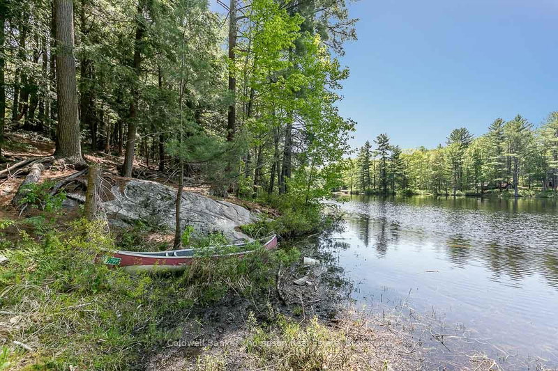 29 BEAR LAKE Rd, Georgian Bay, P0C 1H0 | Image 3