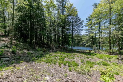 29 BEAR LAKE Road — photo 6